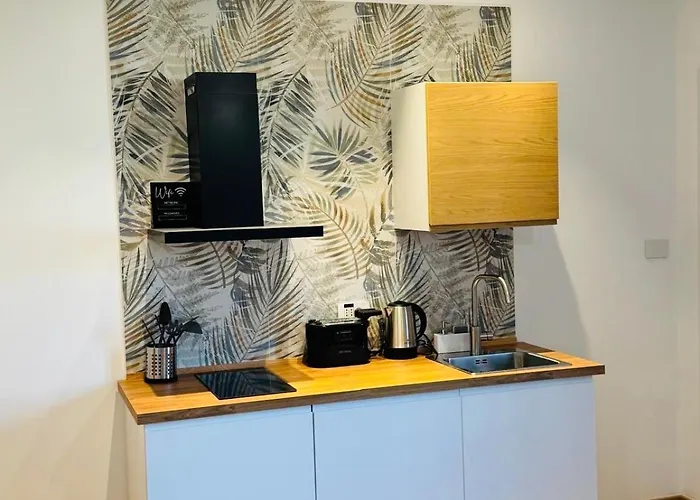 Bright And Spacious Elegant 5 Min Airport Apartament Genua